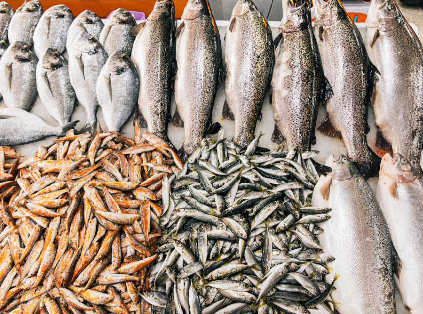 菜市場也有導航！分區標示讓你買菜不繞遠路