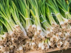 天價青蔥時代：一捆蔥1200元的台灣餐桌危機